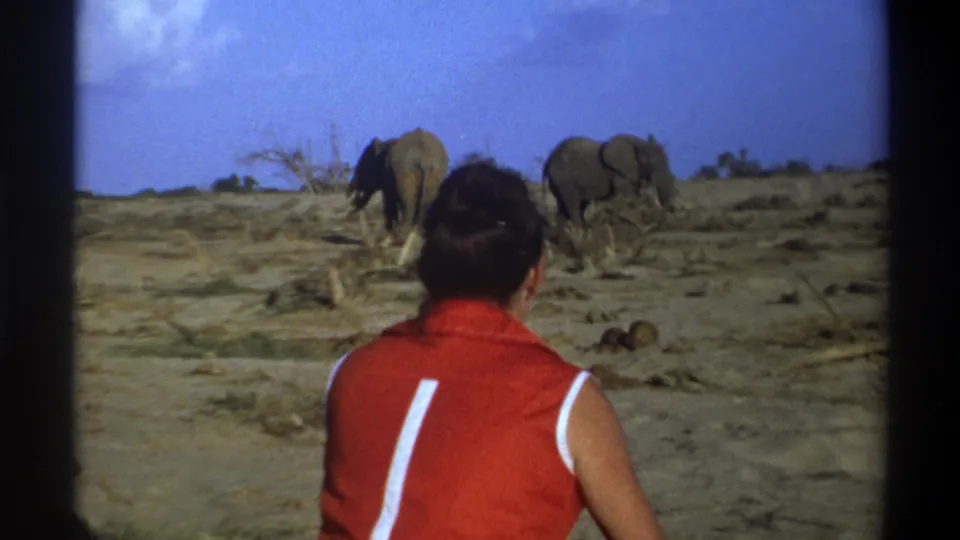 1969 South Africa home-movie frame with a woman in a red sleeveless shirt watching two elephants in a dry landscape.
