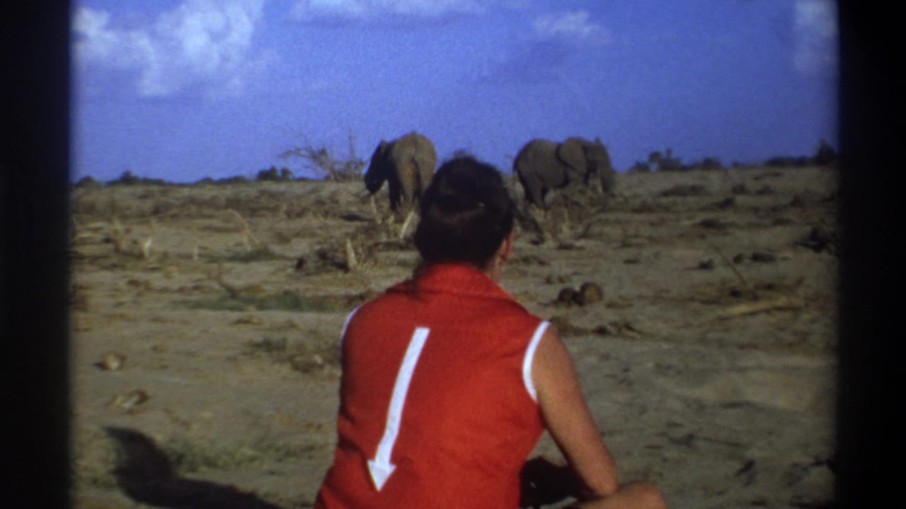 Person in a red sleeveless vest sits facing two elephants in a dry open landscape.