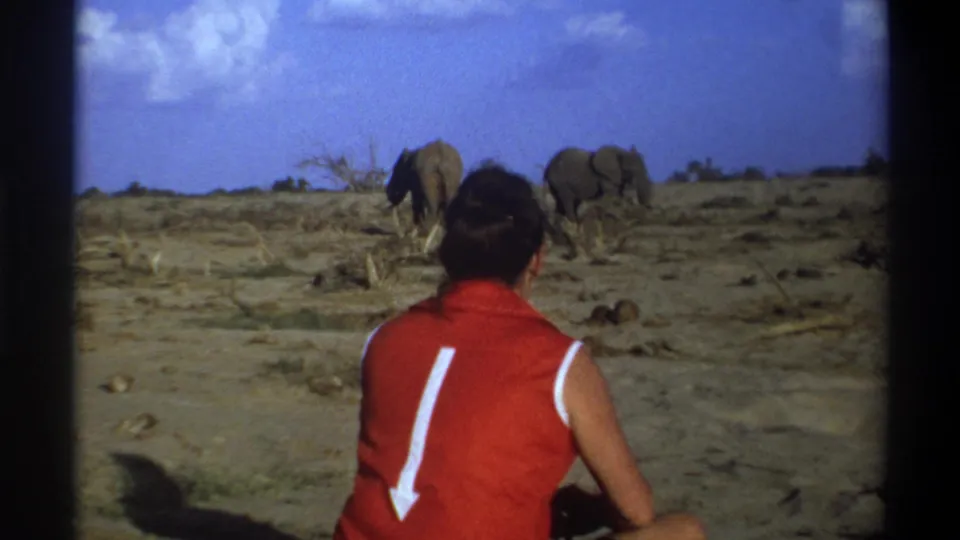 1969 8mm travel footage from South Africa shows a seated person in a red vest watching two elephants across sparse dry ground.