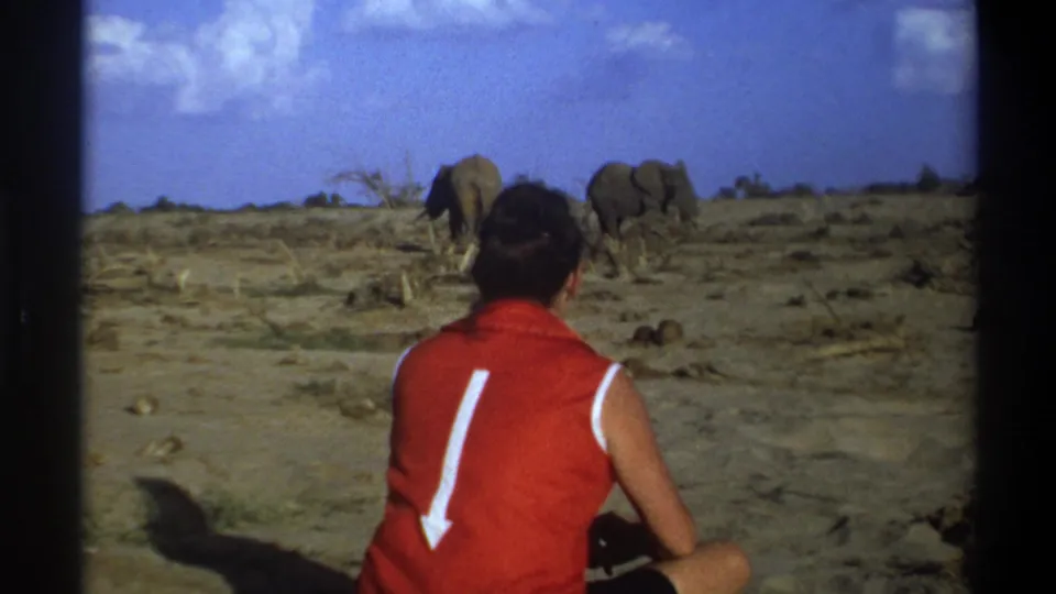 The frame shows a rear view of a seated person in a red vest observing two elephants in a dry South African landscape.
