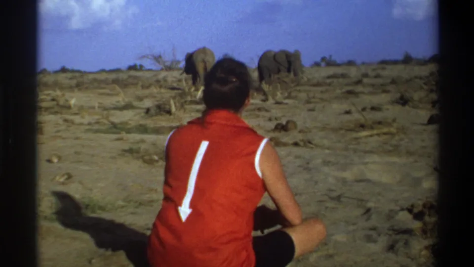 A home-movie frame shows the person in a red vest seated in the foreground, with two elephants farther away on dry open land.
