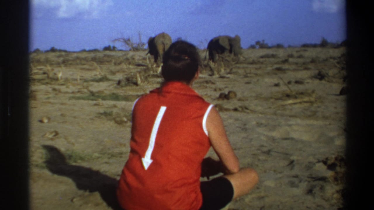 Person in red sleeveless top sits on dusty ground watching two distant elephants.