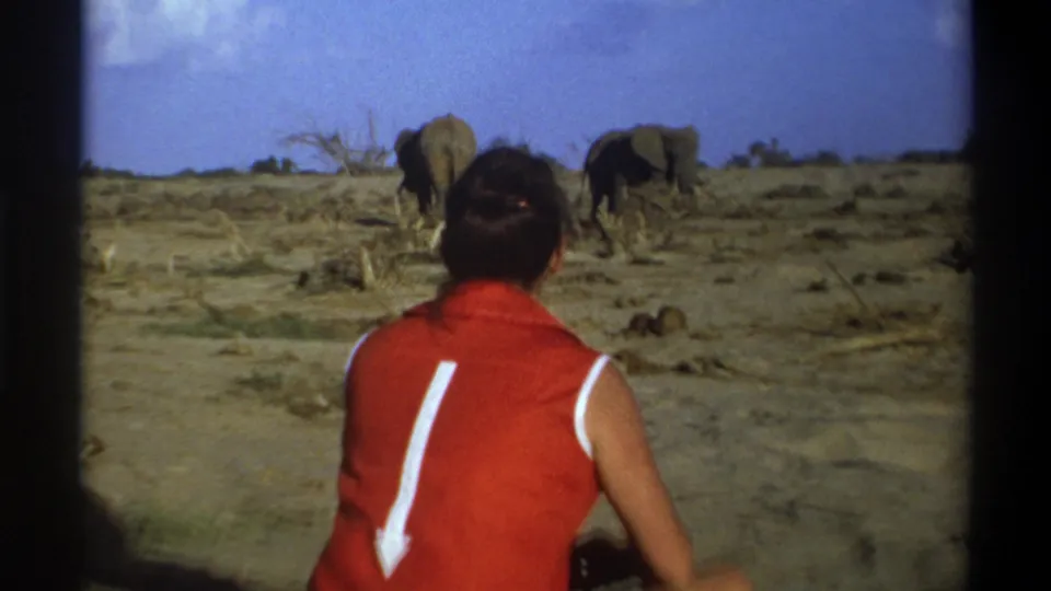 1969 Cape Town 8mm frame with a person in a red top watching two elephants in an arid open setting.