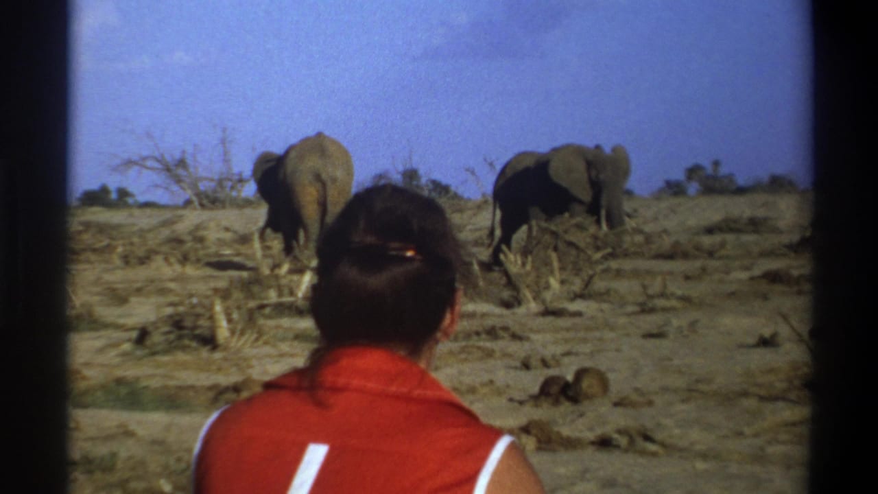 1969 Cape Town home-movie still with the back of a seated person in red and elephants farther ahead on dry terrain.