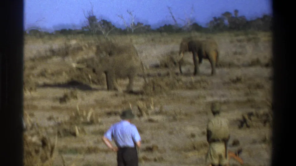 A soft 8mm frame shows elephants in a dry safari landscape with observers partially visible in the foreground.