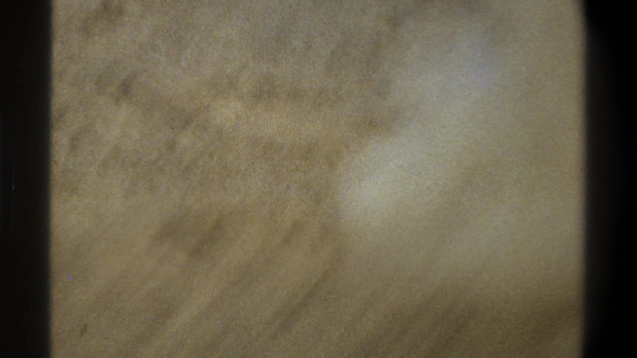 Blurred tan close view with little distinct detail visible.