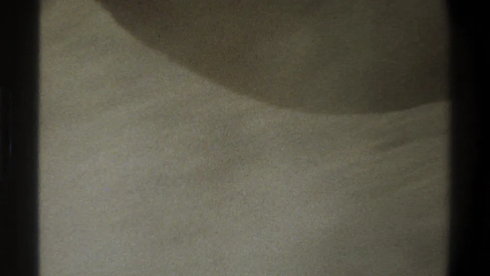 A heavily obscured 1969 South Africa 8mm frame showing blurred ground or animal body during abrupt handheld movement.