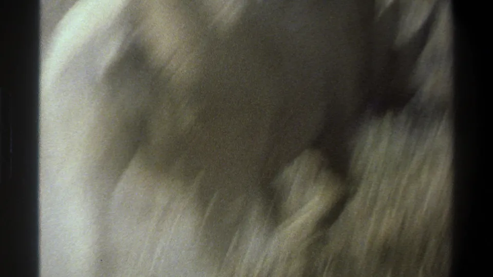 A close, blurred 8mm frame suggesting pale rhinoceros hide or rapid movement very near the lens.