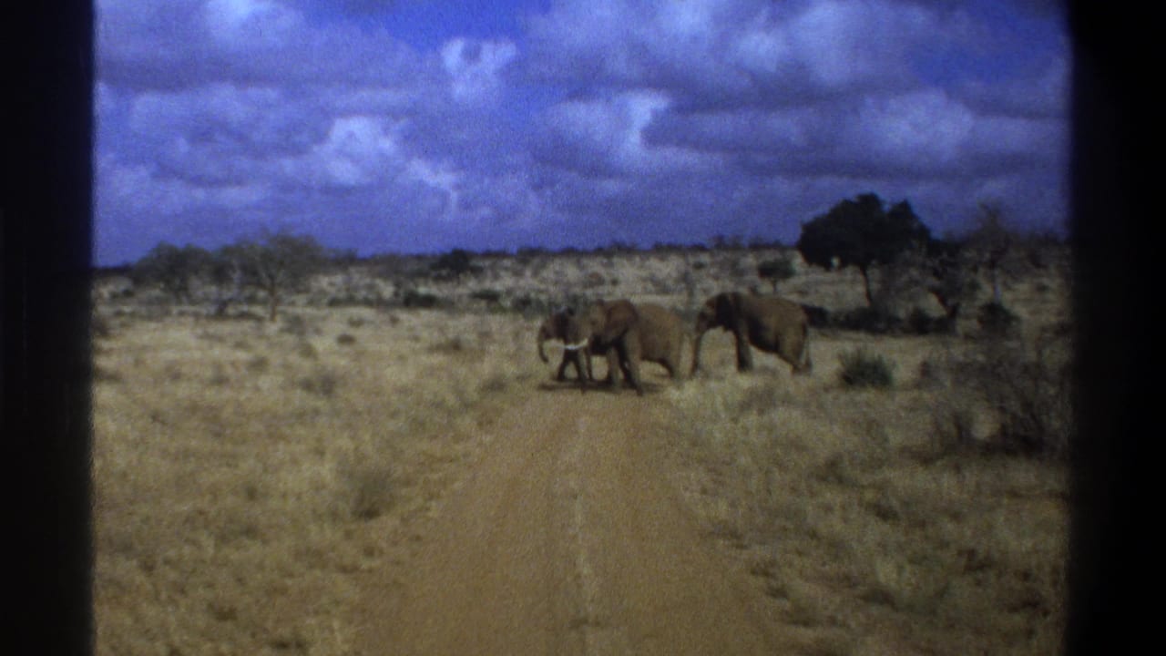 1969 Cape Town, South Africa frame with elephants crossing the road, dry vegetation on both sides, and a low horizon under large clouds.