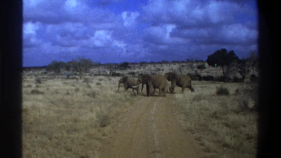 1969 Cape Town, South Africa frame showing the elephants gathered near the roadside and road center, with scrubby grassland and clouds beyond.