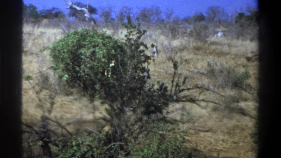 1969 South Africa 8mm frame showing dry bushland, green shrubs, and a faint distant figure or object near the right background.