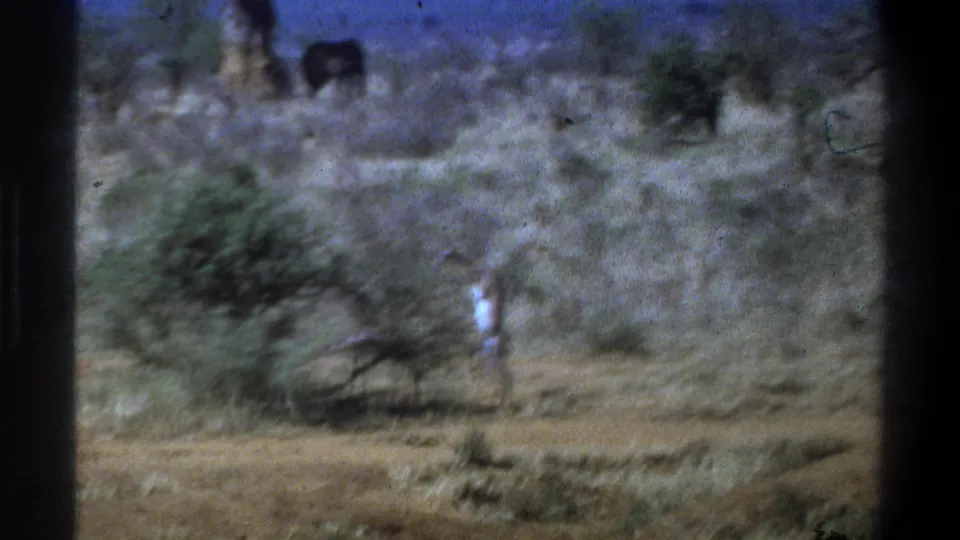 Blurred 1969 South Africa home-movie frame showing a giraffe near a bush in open scrubland, with distant animal shapes in the background.