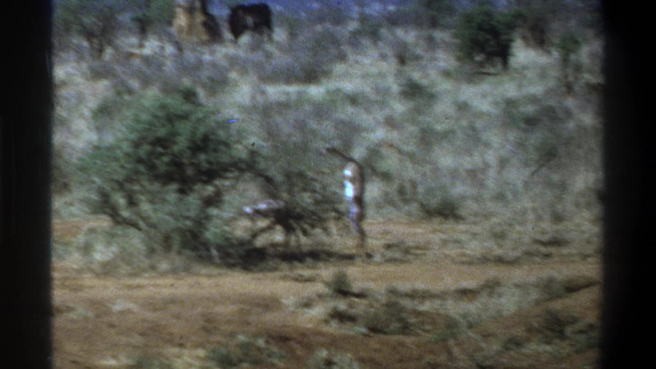1969 Cape Town 8mm frame of a man standing in a dry plant-filled area with scattered shrubs and distant wildlife.