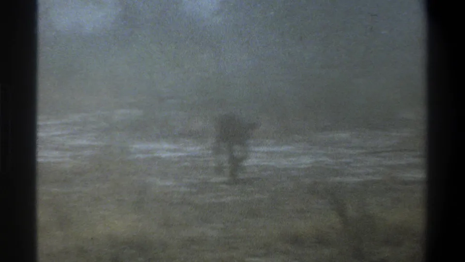 Soft 8mm frame from the Cape Town-associated 1969 clip, with the calf partly blurred in wet grass near water.
