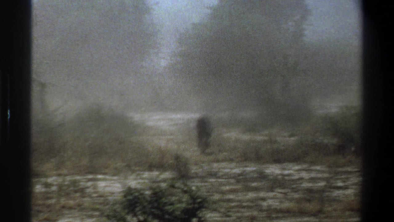 1969 Cape Town 8mm frame showing a distant dark animal shape in a hazy scrub field bordered by dense trees.