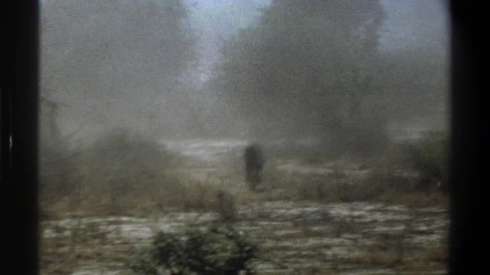 1969 Cape Town 8mm frame showing a distant dark animal shape in a hazy scrub field bordered by dense trees.