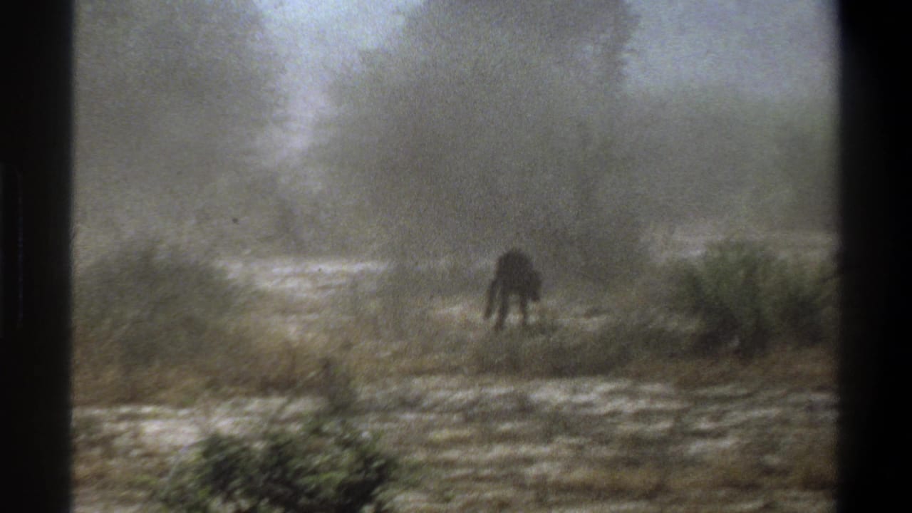Distant animal silhouette in the Cape Town home-movie footage, partly obscured by haze and scrub vegetation.