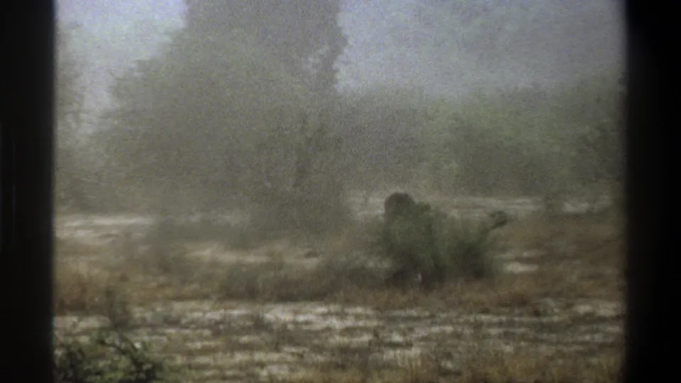 Cape Town 1969 8mm frame with the dark animal low in the scrub, partly hidden by vegetation and haze.