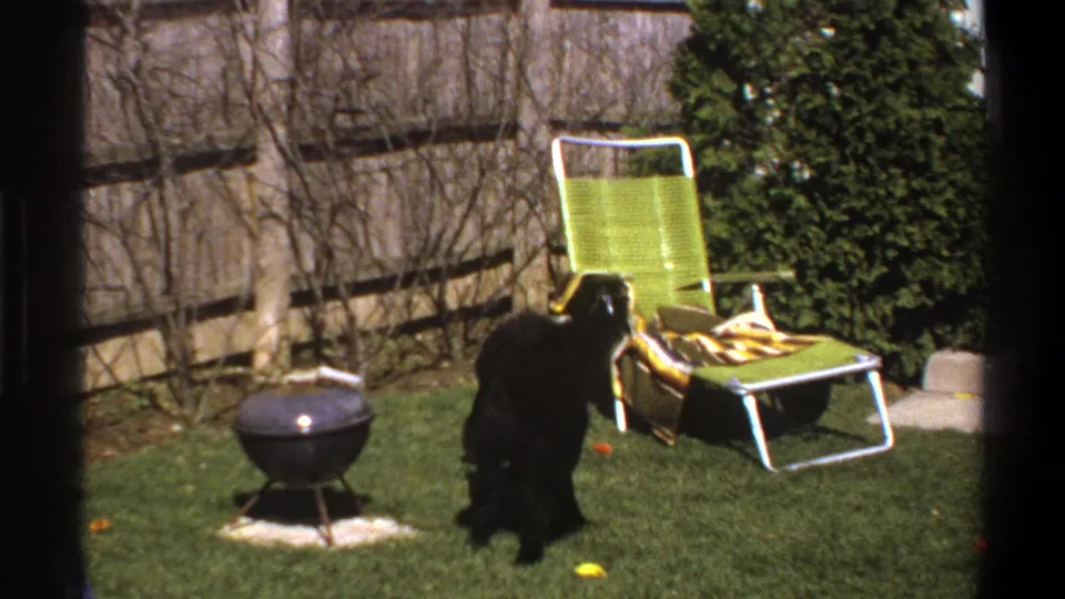1969 Cape Town home-movie frame showing a black dog in a fenced backyard with a small grill, green lawn chair, and bright play balls on the grass.
