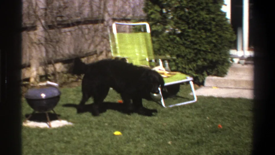 1969 Cape Town home-movie frame of a black dog crossing a lawn near a green chair, small grill, patio step, and colored balls.