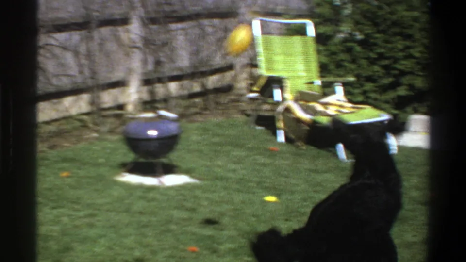 1969 Cape Town home-movie frame with a black dog on grass, tossed balls, a green folding chair, wooden fence, and small charcoal grill.