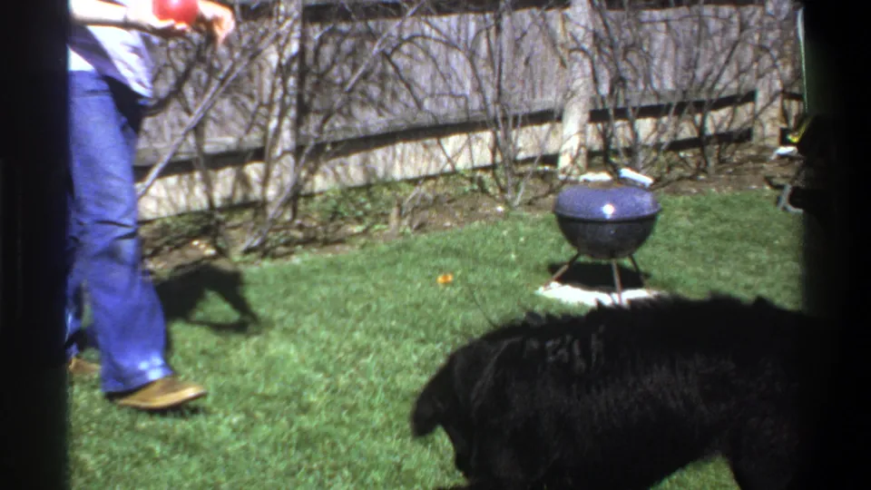 Cape Town 1969 backyard scene with a partly visible person holding a red ball for a black dog beside a portable charcoal grill.