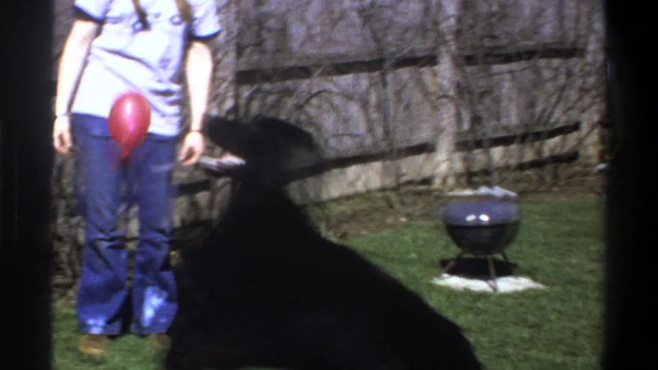 1969 Cape Town home-movie frame with a person in jeans standing in a backyard as a red ball and black dog appear nearby.