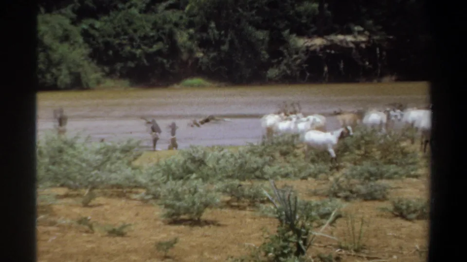 1969 Khartoum frame with goats at a muddy riverbank and distant human figures crossing or standing in shallow water.