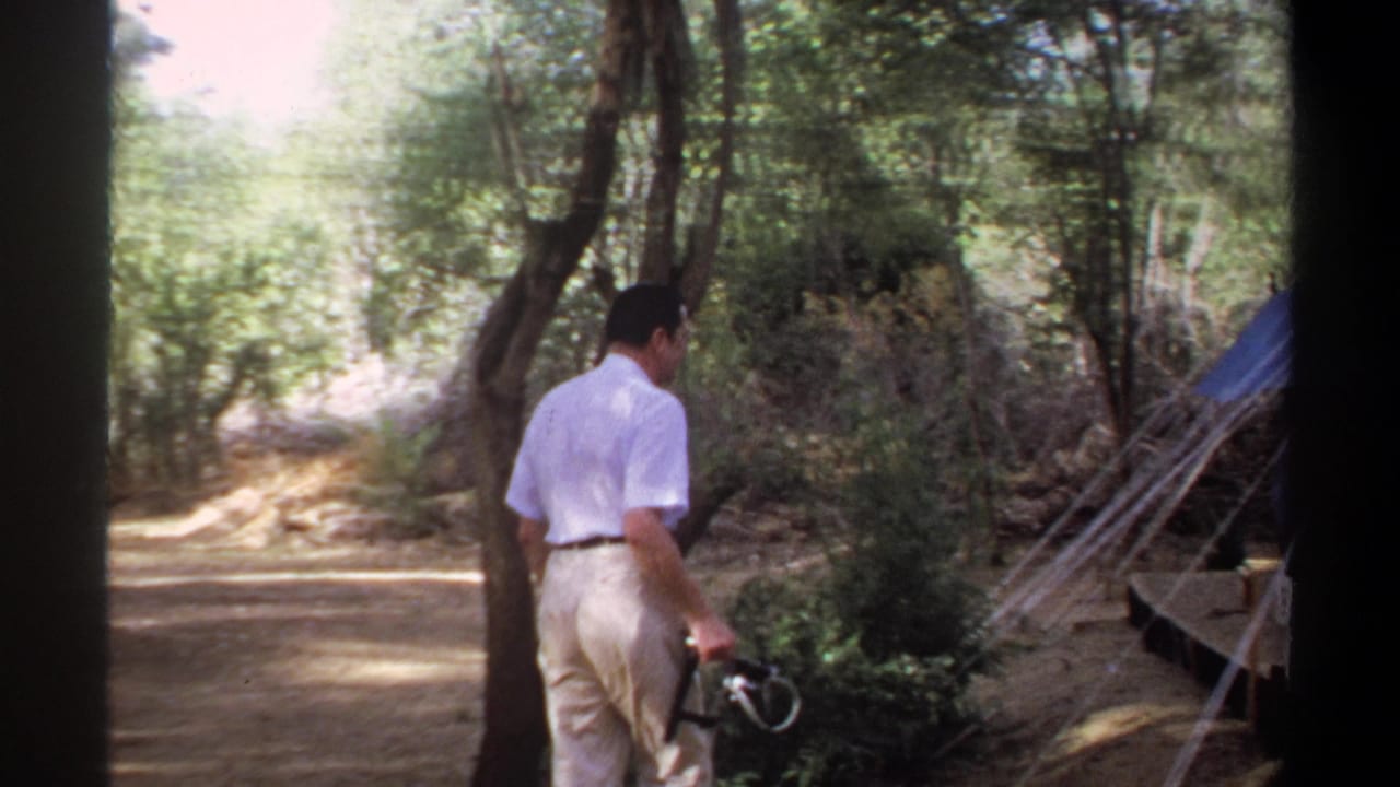 Man approaches a blue tent pitched among trees and guy lines.