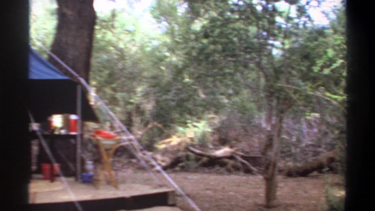 Blue tent on a wooden platform beside trees and camping supplies.