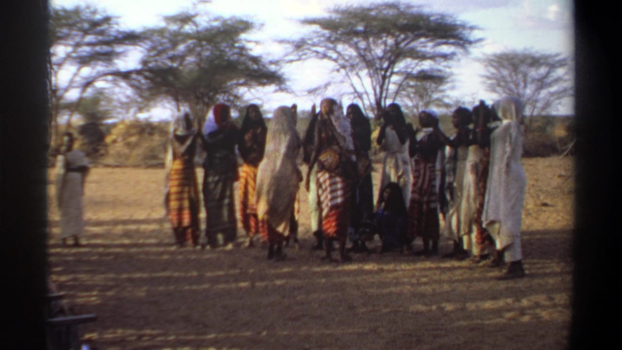 Large group standing outdoors in patterned dress beneath sparse trees.