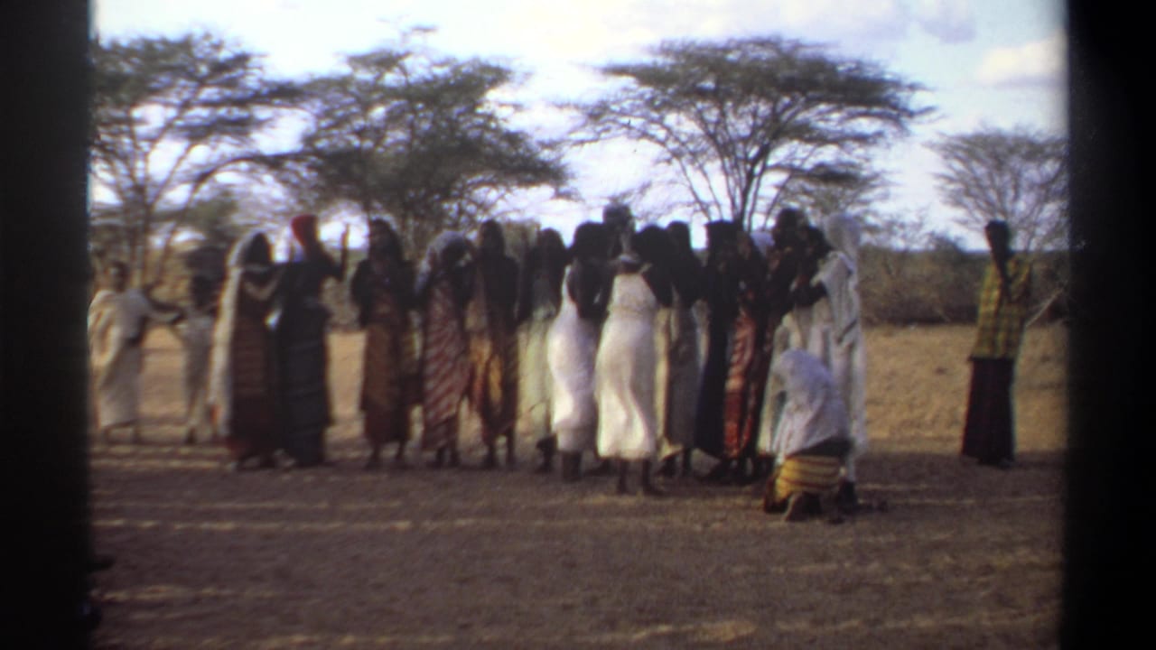 Group of women standing together outdoors with one person crouched nearby.