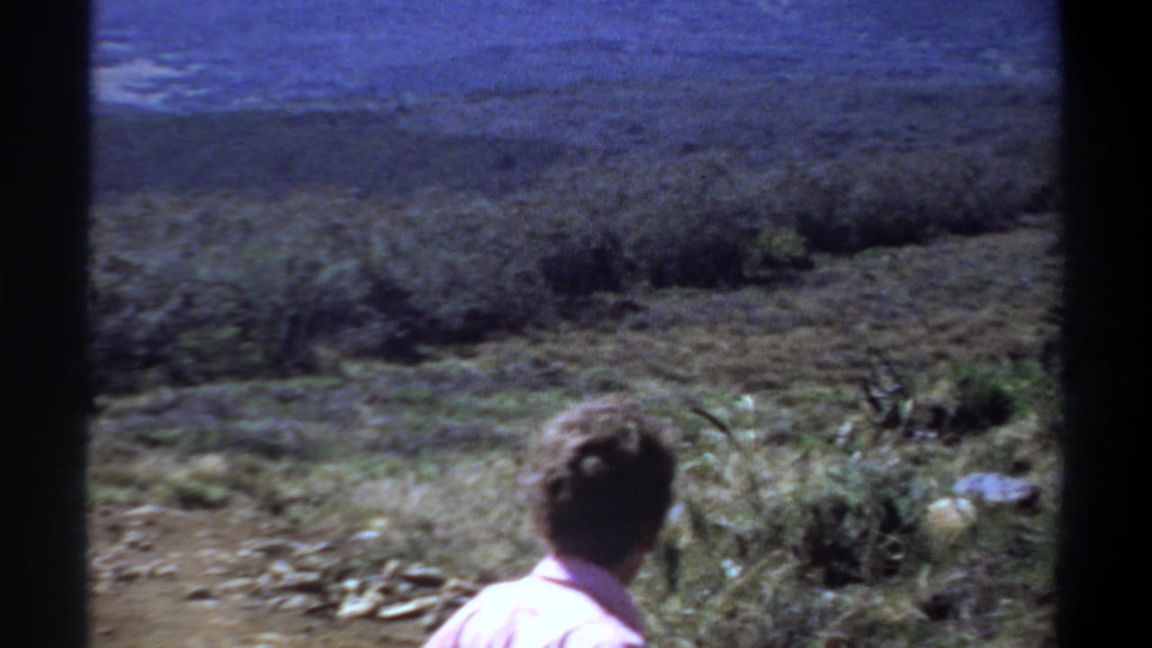 In 1969 Sudan home-movie footage, a man in a pink shirt looks over scrubby terrain under a blue sky.
