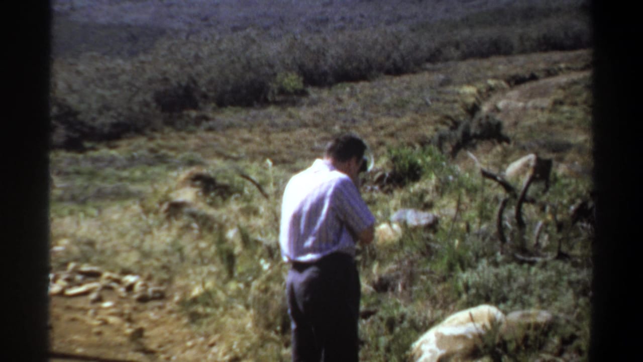 Man seen from behind holding a camera in a rocky field.