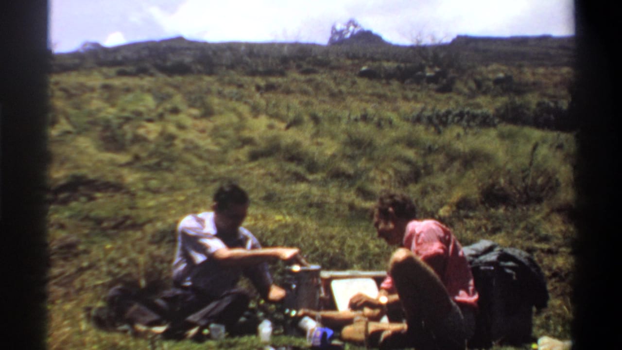 Two men sit on grass with picnic items and bags in a bright open landscape.