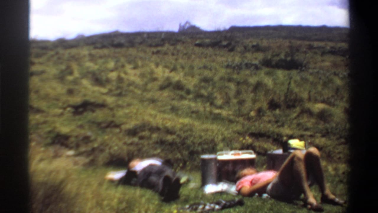 Two adults recline near a cooler and picnic items in a wide grassy landscape.
