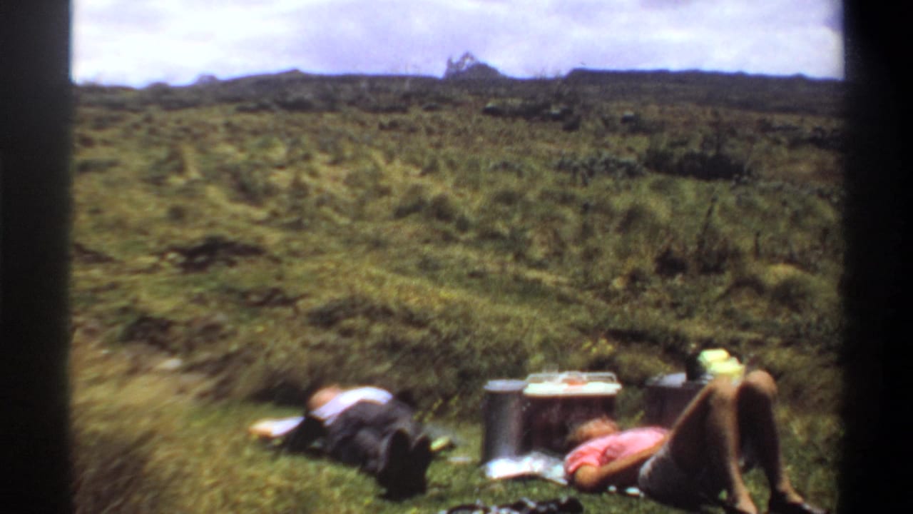 Two people lie in grass near picnic items with a wide green field in the background.