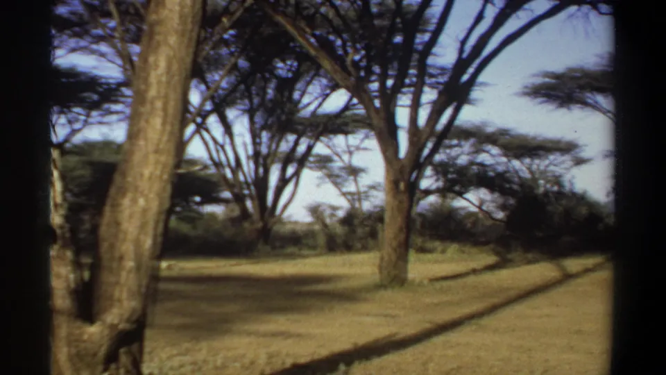 1969 Khartoum home-movie frame looking across open grass and scattered trees, with long shadows and handheld framing.