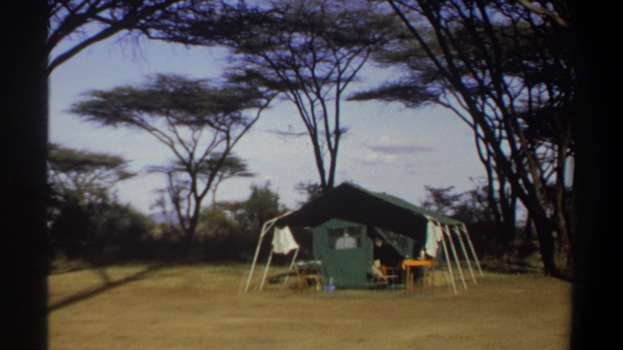 Canvas camp tent with laundry, furniture, dry grass, and trees around it.