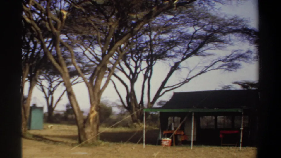 1969 Sudan 8mm frame showing a canvas camp tent with green trim beneath tall trees on dry grassland.