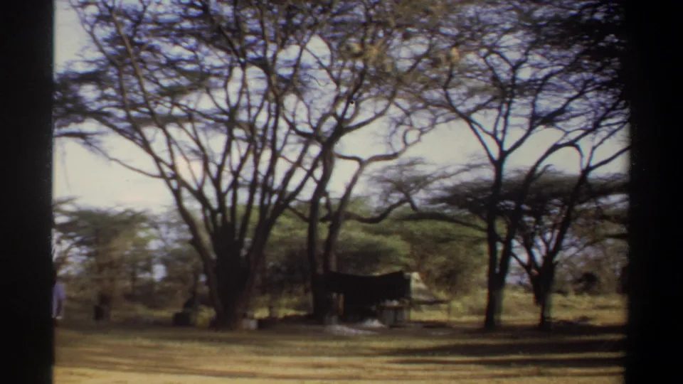 1969 Khartoum home-movie frame showing dry grass, branching trees, and a small shaded structure in the distance.