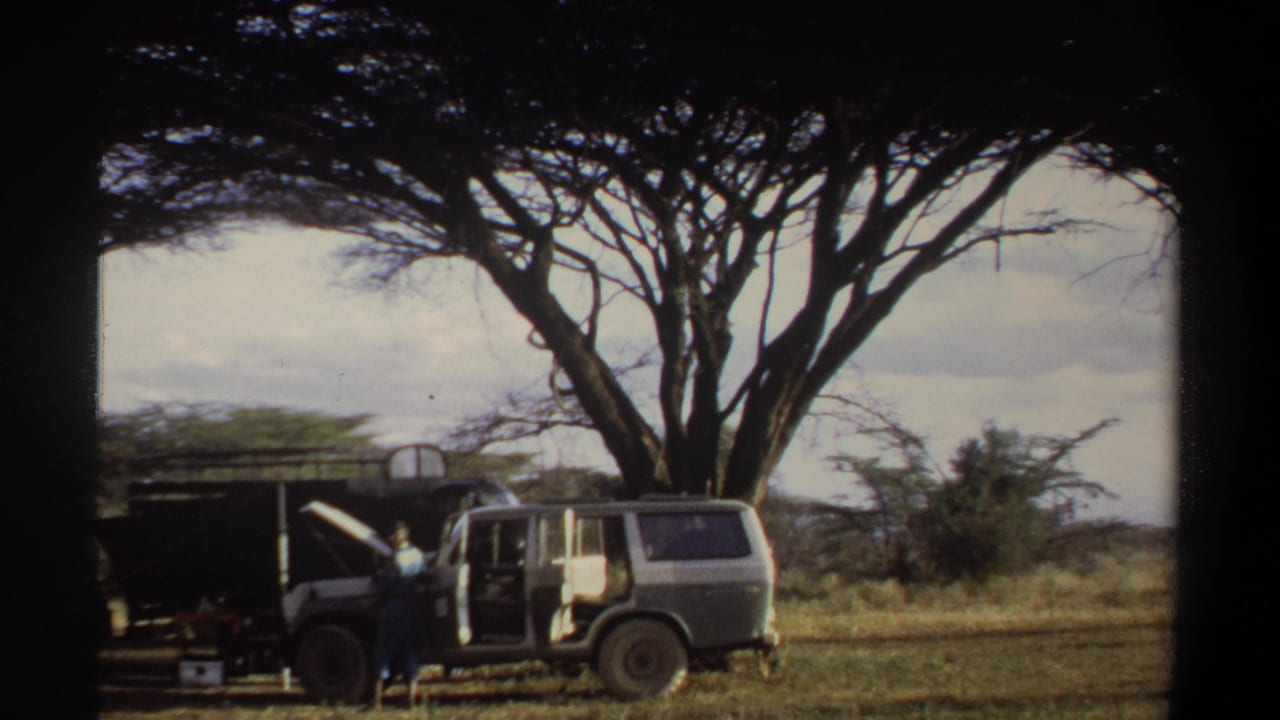 Vehicle stopped under a broad tree with a person standing beside it in open grassland.