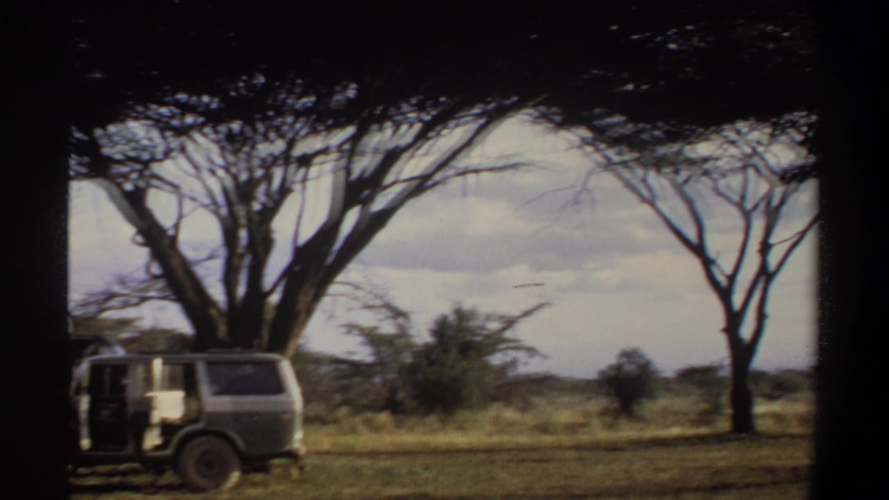 1969 Khartoum frame with a stopped vehicle beside a large tree, set against open grassland and a cloudy sky.