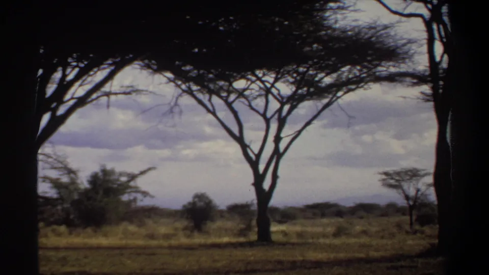 1969 Khartoum home-movie view of open scrubland, a tall foreground tree, scattered trees, distant hills, and cloudy sky.