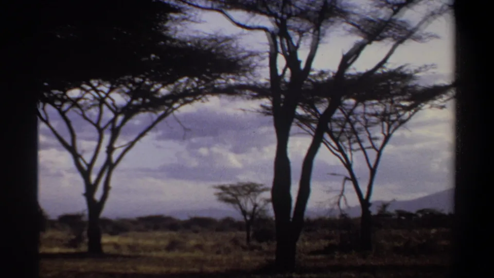 1969 Khartoum frame showing acacia-like trees in open grassland, with low hills and a clouded sky in the distance.