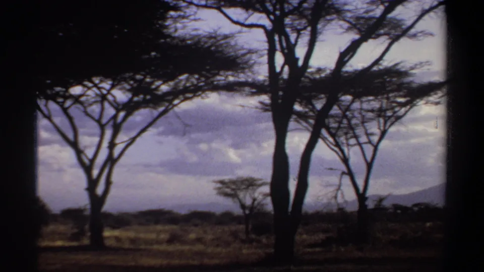 1969 Khartoum-area 8mm frame showing acacia trees and open savanna-like ground under a cloudy sky.