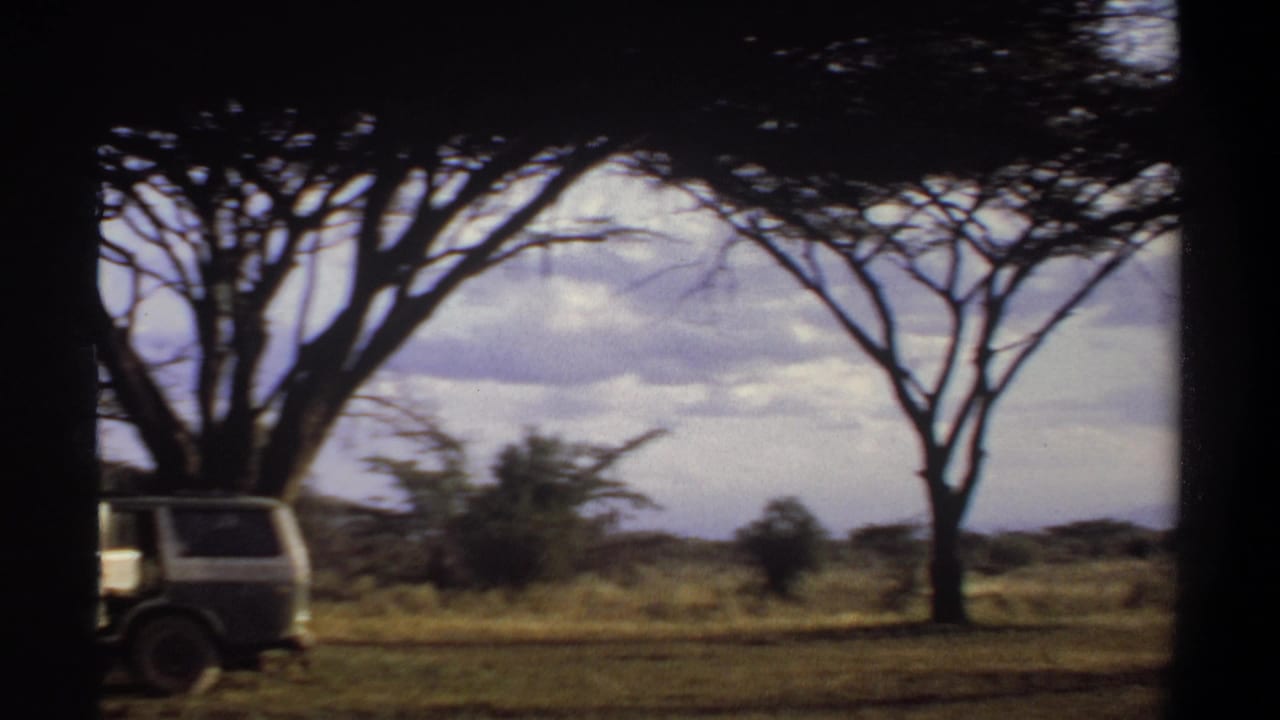 1969 Khartoum-area frame with a light-colored safari-style vehicle partly obscured by a tree trunk under acacia trees.