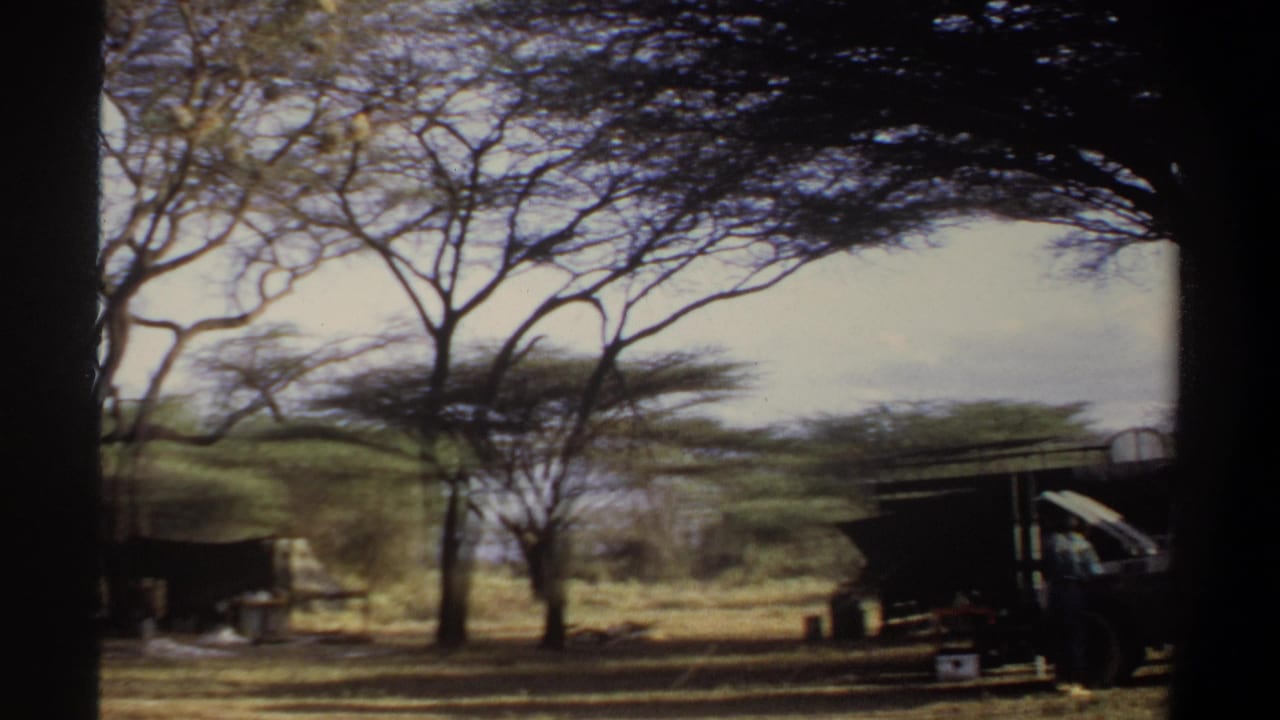 1969 Khartoum-area camp scene with acacia-like trees, a dark shelter, and a vehicle partly visible in soft 8mm footage.