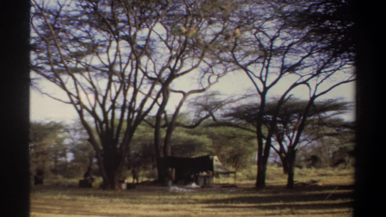 Wide 1969 Sudan camp view showing open dry ground, branching trees, and a dark tent or shelter set back from the camera.