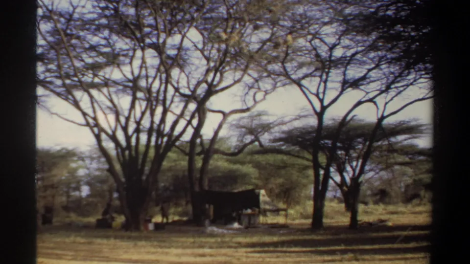 Wide 1969 Sudan camp view showing open dry ground, branching trees, and a dark tent or shelter set back from the camera.